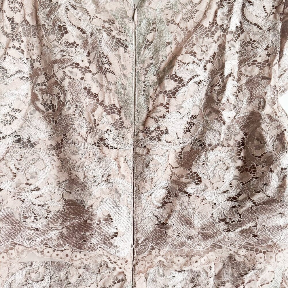 adrianna papell Nude Beige Pink Lace Overlay Bodycon Dress 16 - Picture 5 of 5